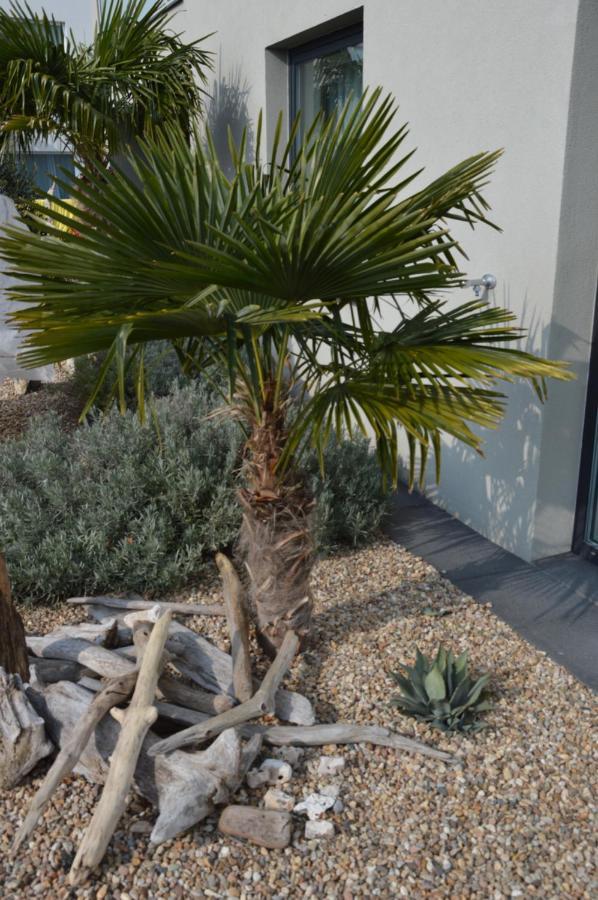 Palm Garden Apartment 1 미쿨로프 외부 사진