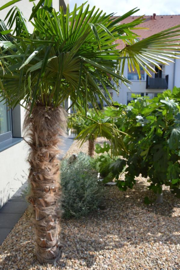 Palm Garden Apartment 1 미쿨로프 외부 사진